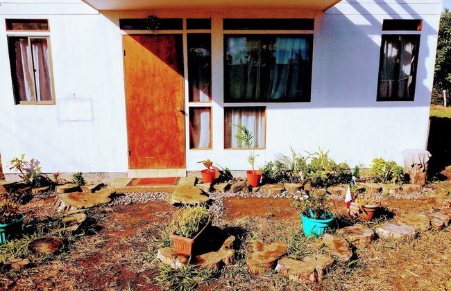 Pae pae by Liz It's Unique - Foto 37