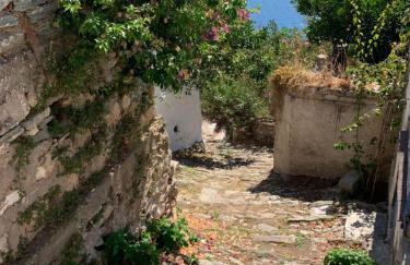 The Music House villa with pool - Foto 4