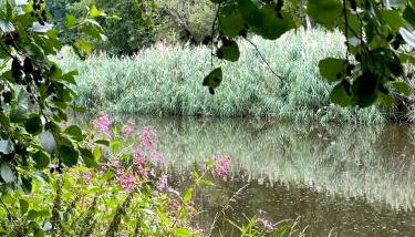 Pension&Wellness-Oase-Nossen - Foto 4