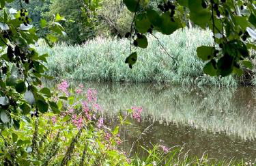 Pension&Wellness-Oase-Nossen - Foto 4