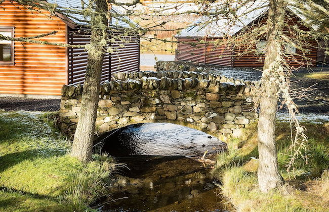 Scottish Highland Lodge - Foto 29