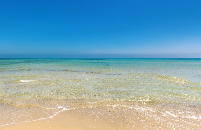 3025 Villa Verdeoasi by Barbarhouse - Foto 29