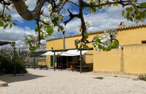 Finca el Campillo Casas Joselito y Nene Pili - Foto 4