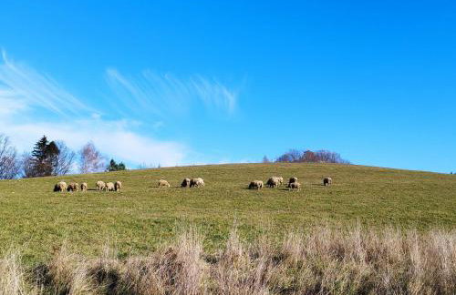Ropienka Ski - Foto 54