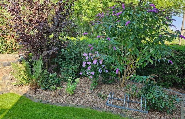 Modernes Ferienhaus mit Garten in Kagsdorf - Foto 17