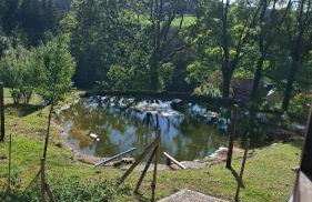 Ferienhaus Gut Haselbach im Erzgebirge - Foto 35