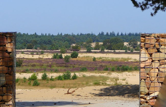 Lodge in Duinhoeve Near Dunes & Playground - Photo 20