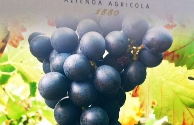 Agriturismo Mare e Monti - Foto 57