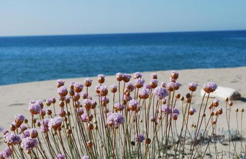 Appartamenti Abbaidda 2 - Foto 41