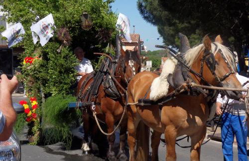 Les Hauts d'Eyragues gite Rêverie Meublé classé 4 étoiles - Foto 42