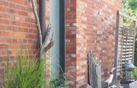 Ferienanlage Poschmann Strohboden - Foto 13