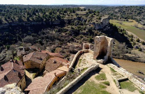 Anatiduero - Foto 30