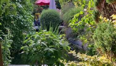 Ferienwohnung am Siel - Foto 4, Garden