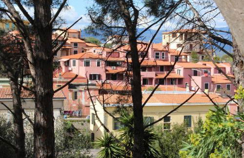 Vespucci 29 - Foto 15