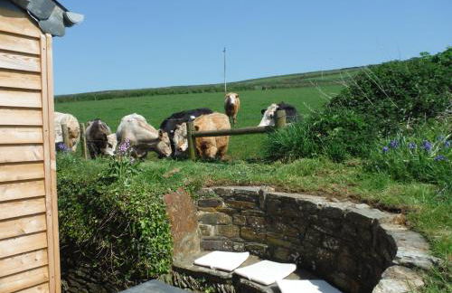 Seaview Studio - Foto 19