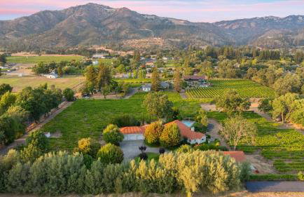 Vineyard Estate w Pool Spa Bocce Ball Mins to Wineries Park Lawndale Manor by AvantStay - Foto 51