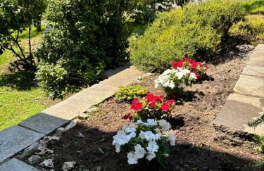 Rosa del lago - Foto 15