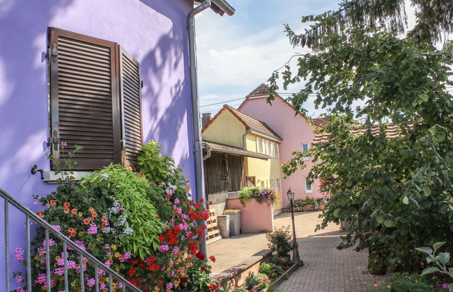 Résidence jaune et rose - Foto 18