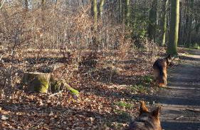 Helles Dachgeschoss-Appartement - Foto 16