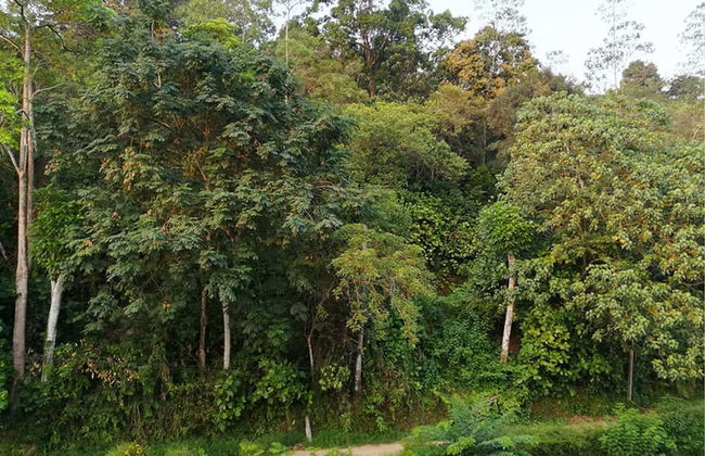 Thilini Hotel Apartment - Photo 13