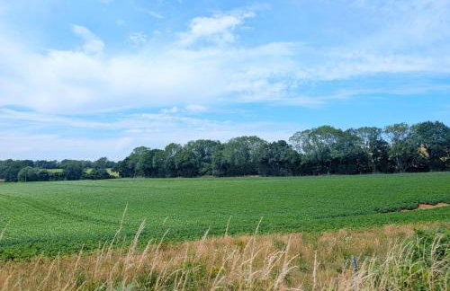 Studio Cottage - Rogate - Foto 15