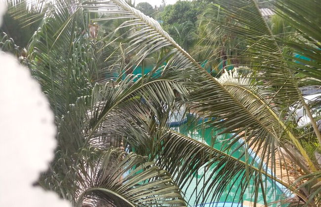 Greenery Bubble Apartment - Photo 11