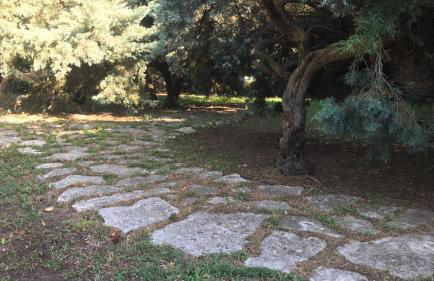 casa vacanze Agugliastra - Foto 26