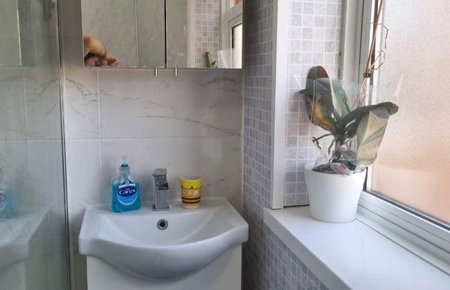 Alexandra Palace 3 Bedrooms Apartment in London - Foto 15