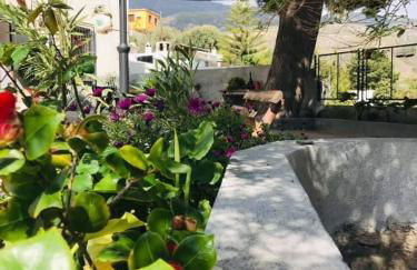 Huerta La Niña Arenas - Foto 25