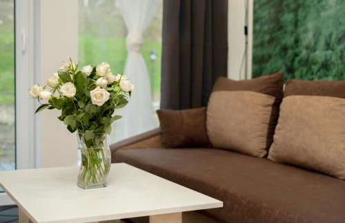 Apartamenty GoszóWita - Foto 13