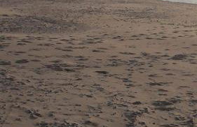 Domek letniskowy - Foto 22