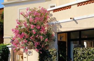 Studio port santa lucia - Foto 1