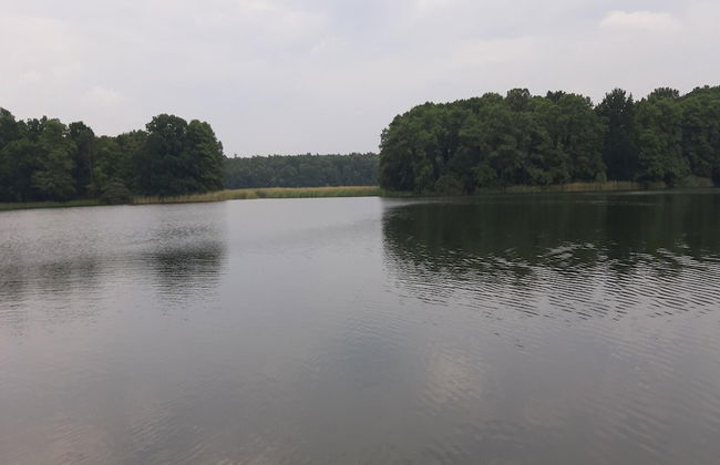 Ferienhaus in Mecklenburg-vorpommern mit Tropenpool & Spa - Photo 36