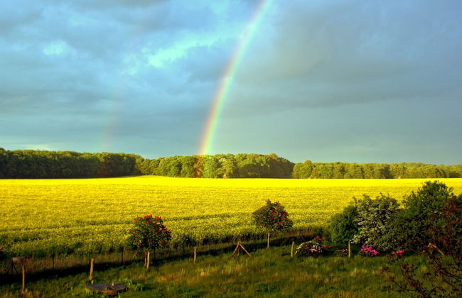 Wohnung in Semlow mit Garten und Terrasse - Foto 19