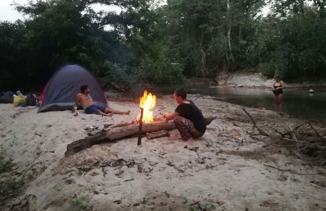 Trilha e noite na floresta amazônica - Foto 6