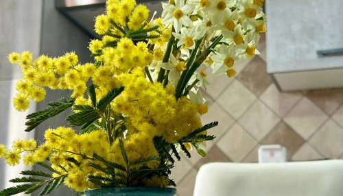 Relax Home Holiday - Foto 2