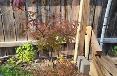 Peaceful Apartment - Foto 46