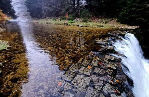 Strefa Ciszy -Lawenda - Foto 32