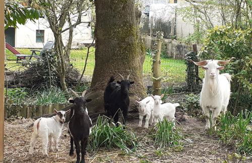 Gîte de charme proche du Mans pour 6 pers., commerces à pied, tout équipé - FR-1-410-258 - Photo 9