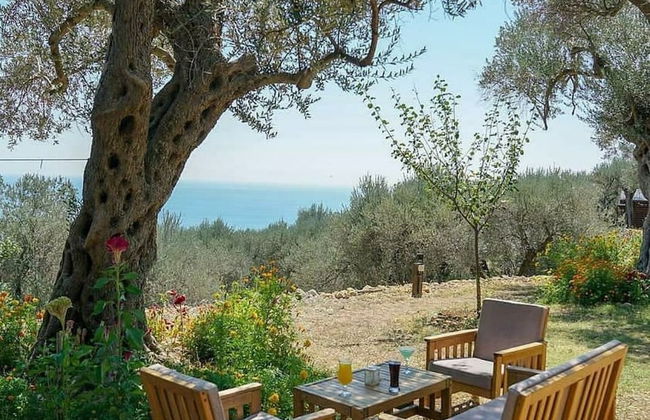 Holiday Park Tree - Foto 31