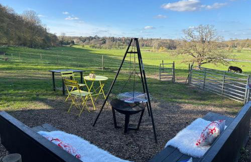 Outlook farm cabin firepit - Photo 39