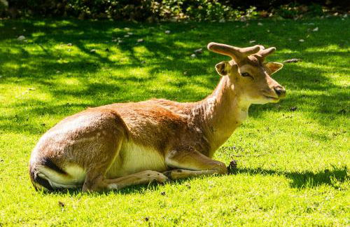 Il Rifugio del Cuore - Foto 32