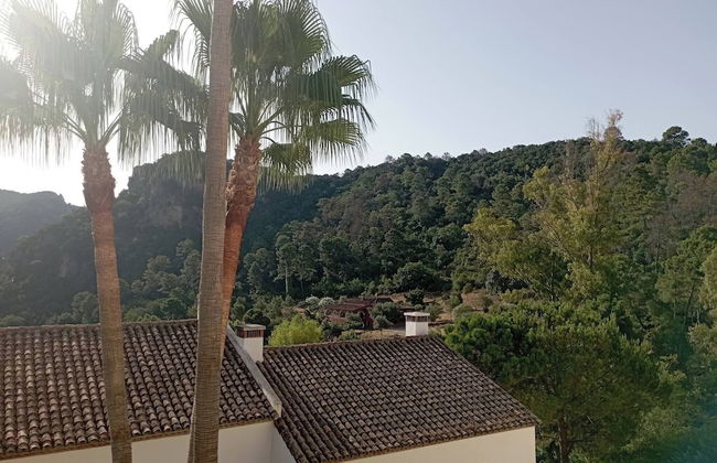 El Casar Townhouse Benahavis - Photo 24