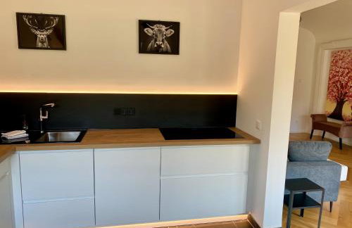 Bergelemente - Gmundberg Apartment - Foto 27