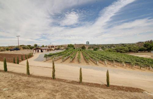 Casita Vino Dog-Friendly Vineyard Retreat & Stay - Photo 28