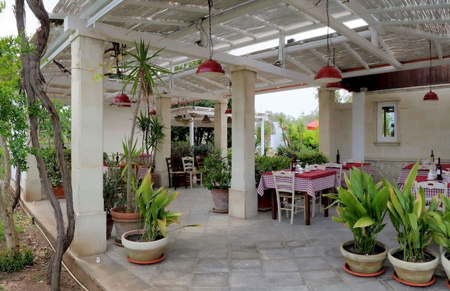 Masseria L'Uliveto - Foto 55