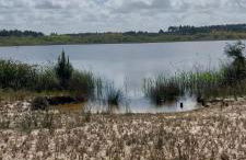 Casa Vitorino - Foto 43