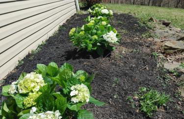 Hidden Gem on Hidden Valley Lane - Photo 30