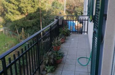 Le camelie 2 di Francesca - Foto 23