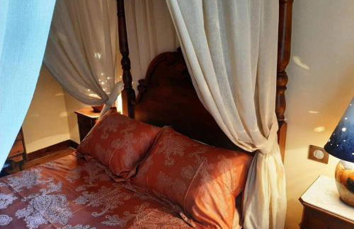 MAISON DE NOSTRADAMUS*** OCCITANIE INSOLITE - Foto 51